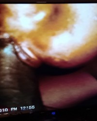 Swallow that bbc photo