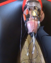 Estim electro cum milking photo