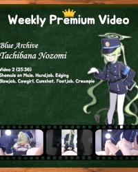1/20 ~ 1/26 UPLOAD SCHEDULE (💙Blue Archive Nozomi, Frieren Bunny, Fate Toh photo