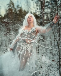 Forest photo