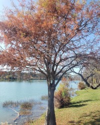 NOTHING LIKE STANDING AT THE BOAT RAMP OFF THE MAIN ROAD IN YOUR HOMETOWN!! photo