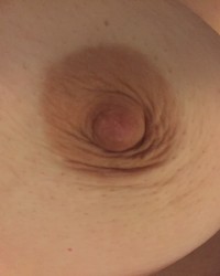 Bullseye photo