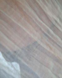 Foots photo