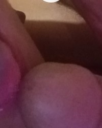 slicice pickice photo
