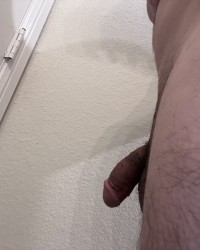 Stiff photo