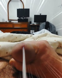 Il mio cazzo duro pronto a sborrare photo