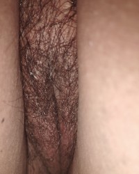Pussy photo