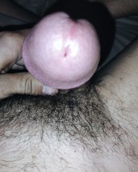 MY BEAUTIFUL COCK photo