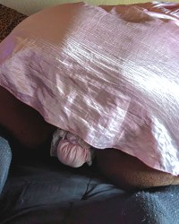 ~ Coquettish Cake ~ photo