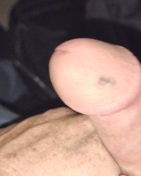 Kiss my cock photo