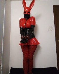 shiny rubberdoll bunny photo