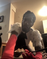 Jay's Lingerie photo