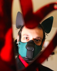 Valentine's Day Shoot photo