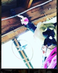 Harley Quinn chillin photo