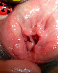 Big Wet Pink Pussy Open For You photo