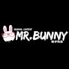 Mr Bunny