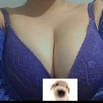 Bela Min6