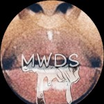 MWDS69