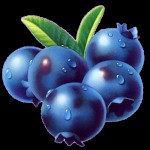 SweetieBerry1