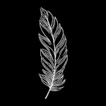 Fine Feather