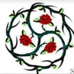 Queen S Rose