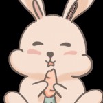 FluffyStudio