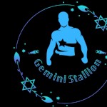 Gemini Stallion Ja
