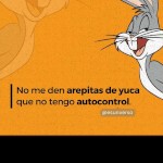 ALVflacoh