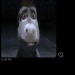 MikeOxFat06
