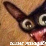 YEVHEN911