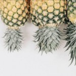 Who ever you want stallion