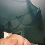 Bbwhailee