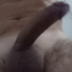 Leccapig