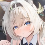 RenjiSTR