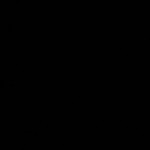 Bichote_c2019