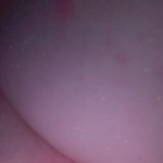 boreddbbw