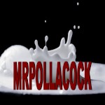 Mrpollacock