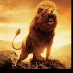 LeoBbc93