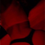 secretepleasure
