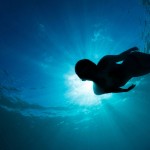 vico mermaid