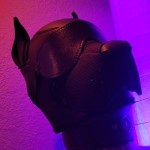 Pornhub model OneStretchyPup