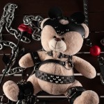 Teddy Bear0527