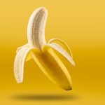 THE FRENCH COQUIN