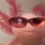 ZankudolokoXD