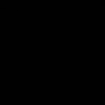 Bira Vivi