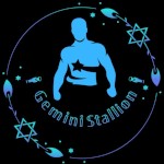 1BlackStallion