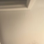 Bigdickbackintown4