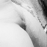 Fenixx_4469