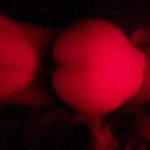 XxxbombchellexxX