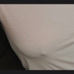 Lovettaxluna